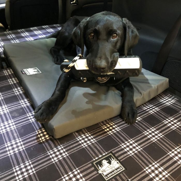 Canvasback Dog Bed Image 1