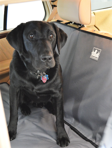 Black lab on a Canvasback bench seat cover