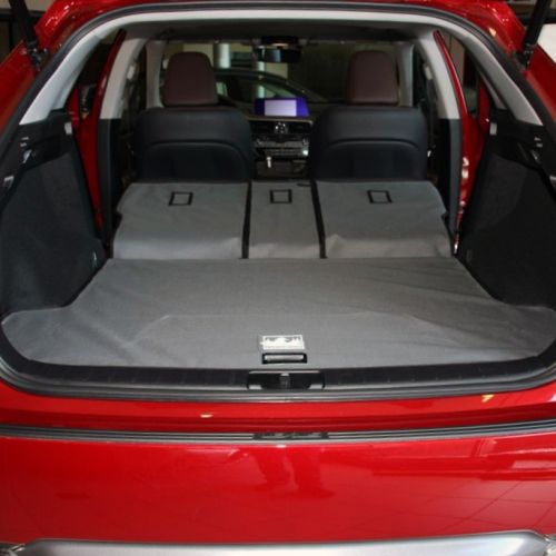 Lexus rx 350 cargo mat deals