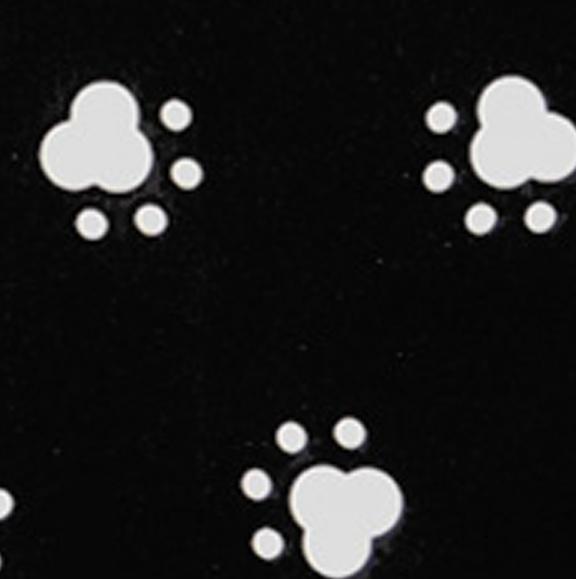 Paw_Print_Website_Version