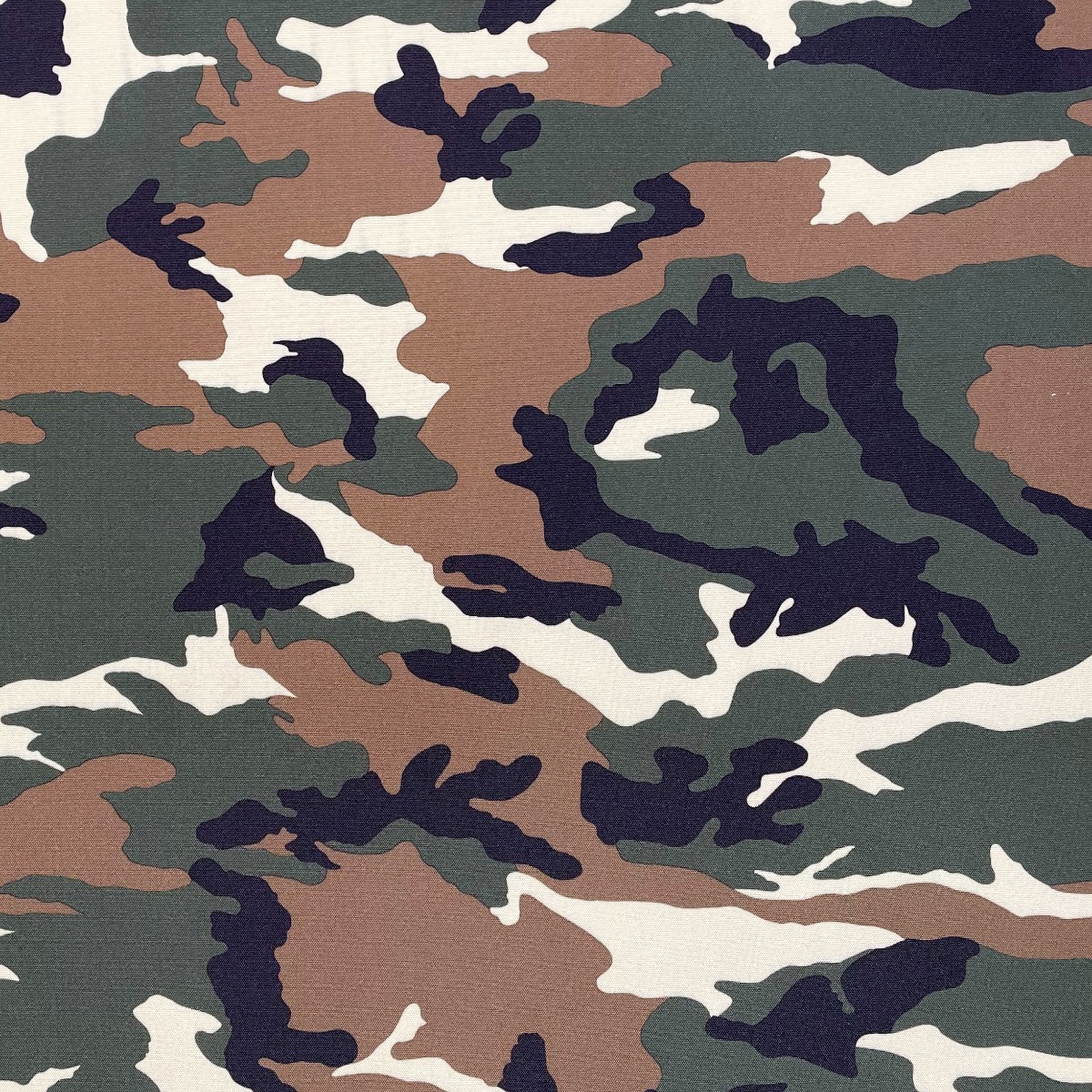 camo_2_1